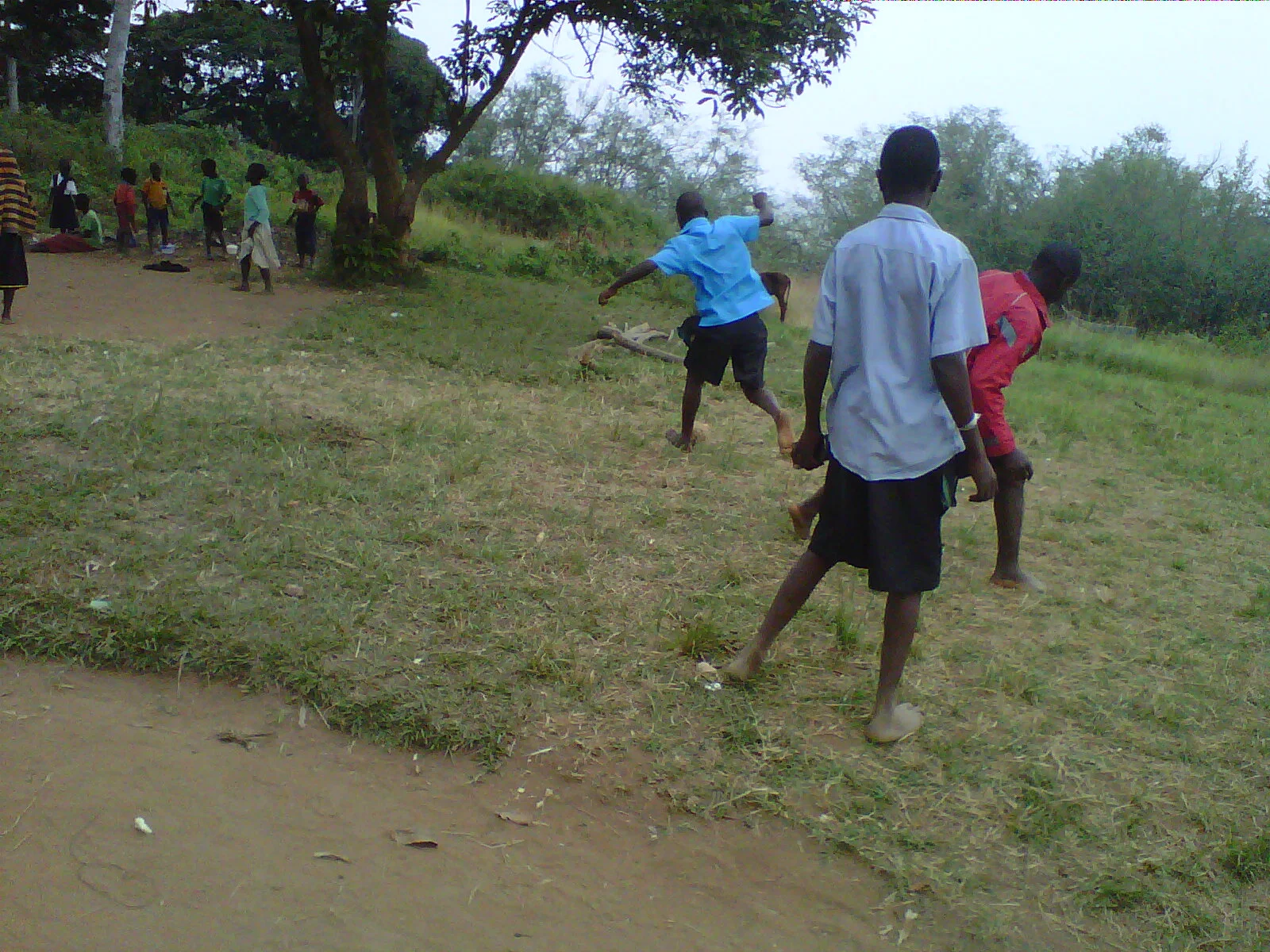 IMG00447-20140710-0133.jpg