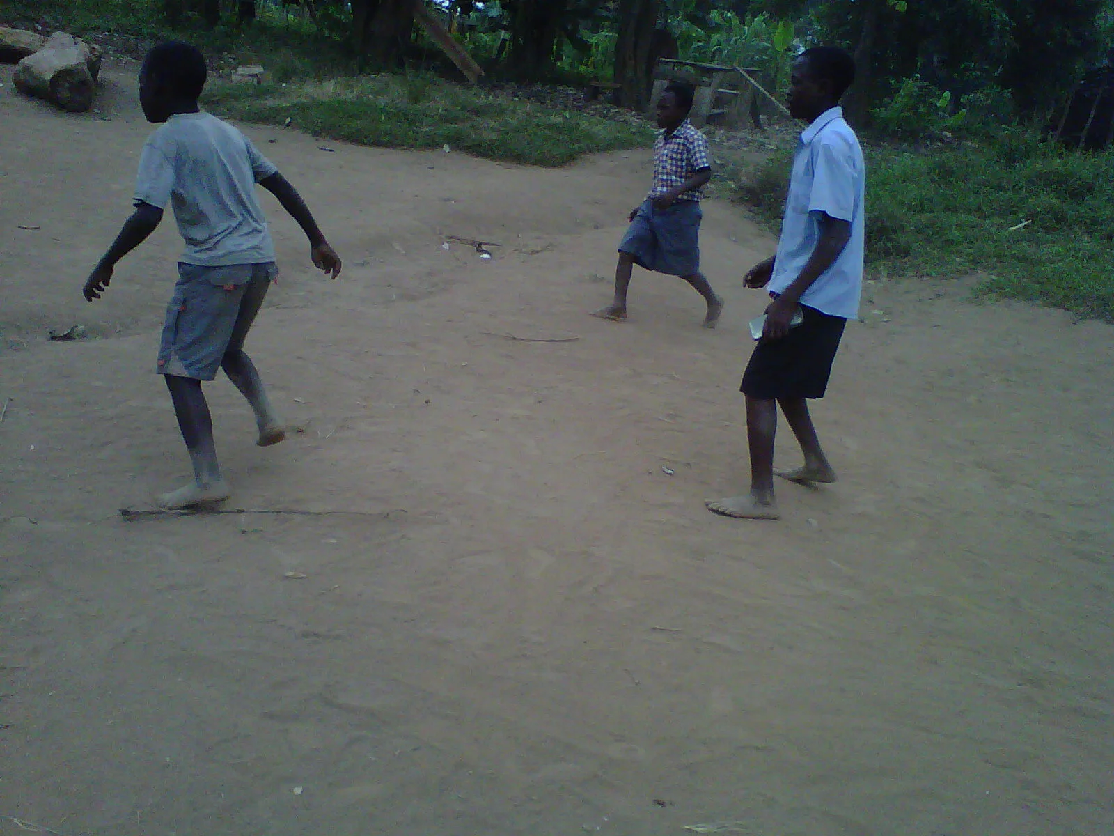 IMG00442-20140710-0131.jpg