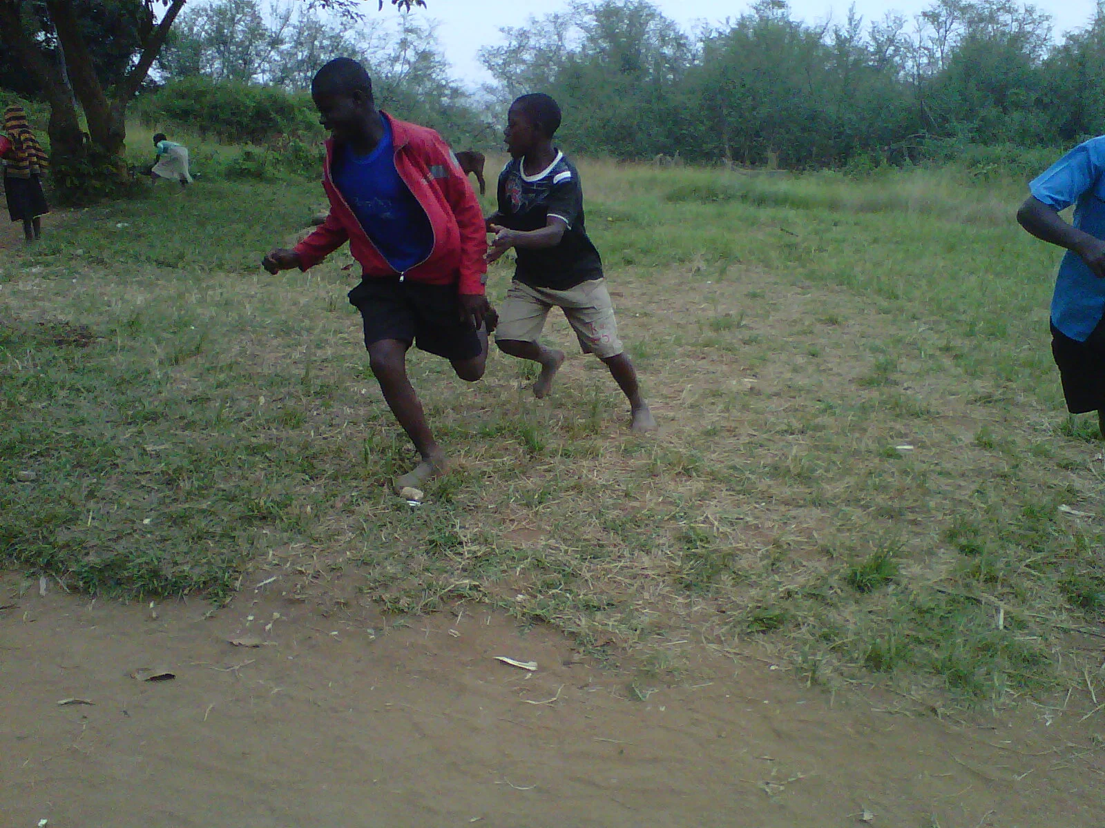IMG00448-20140710-0133.jpg
