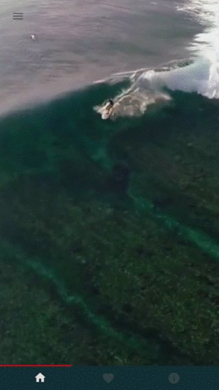 mainapp-annotations_1.gif