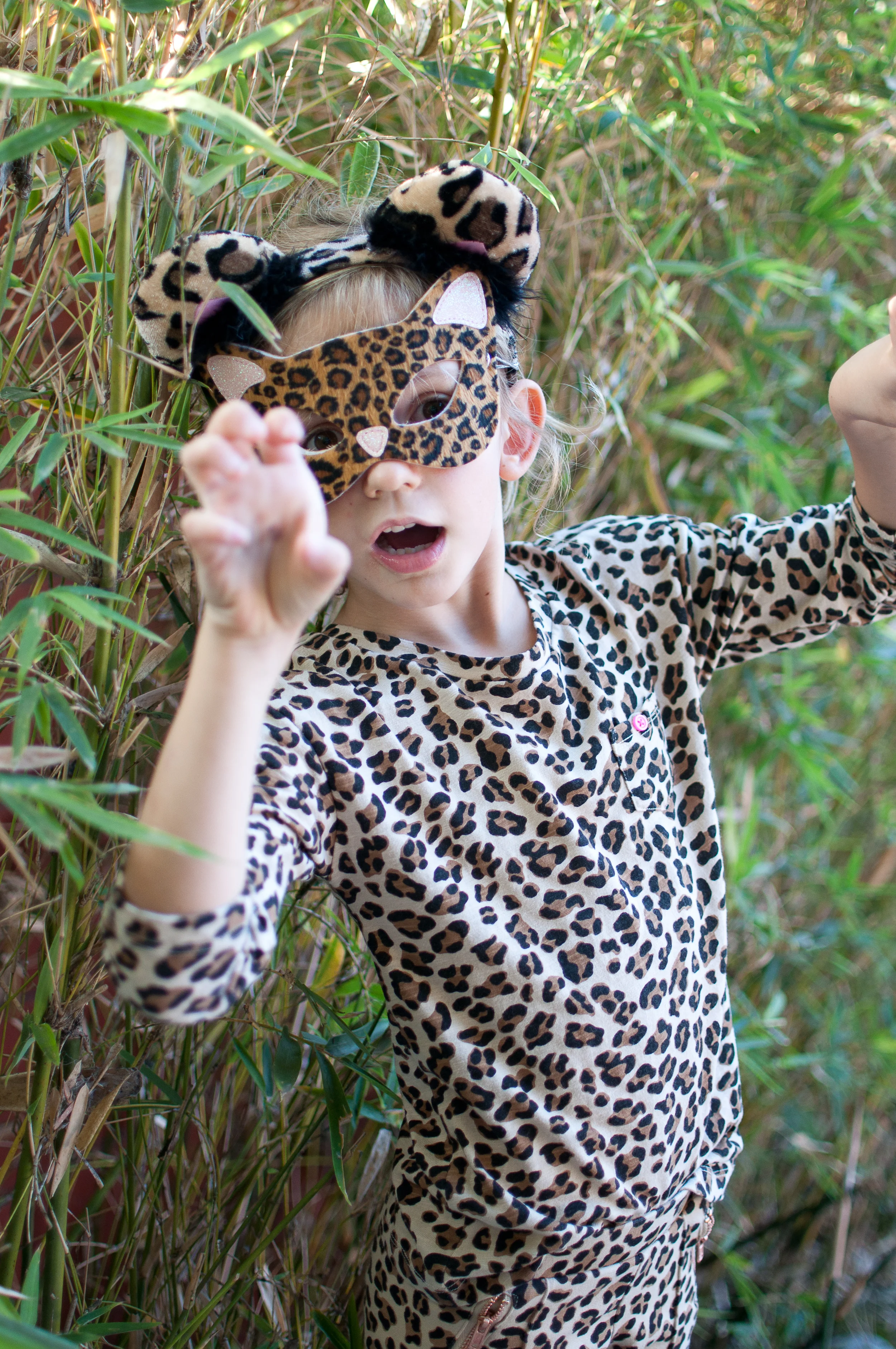 WildP-1001.jpg