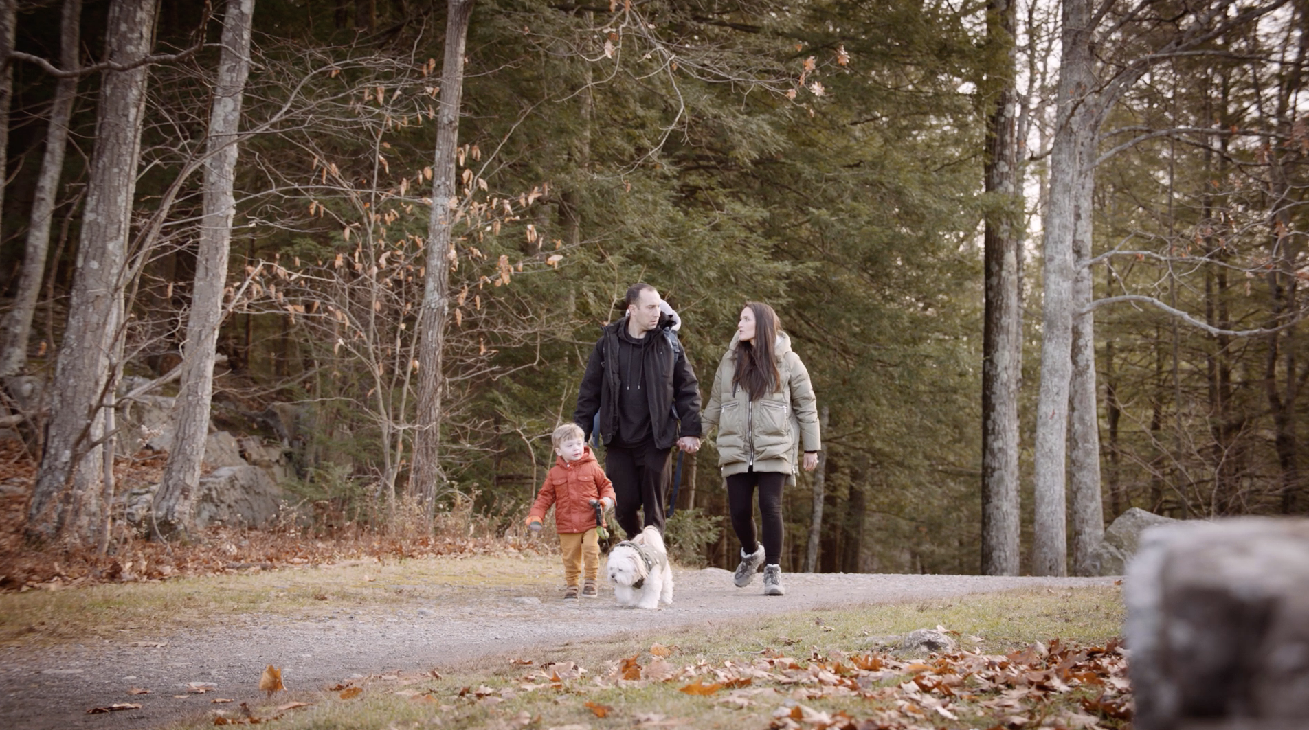 Screen Shot 2022-01-14 at 10.49.26 AM.png