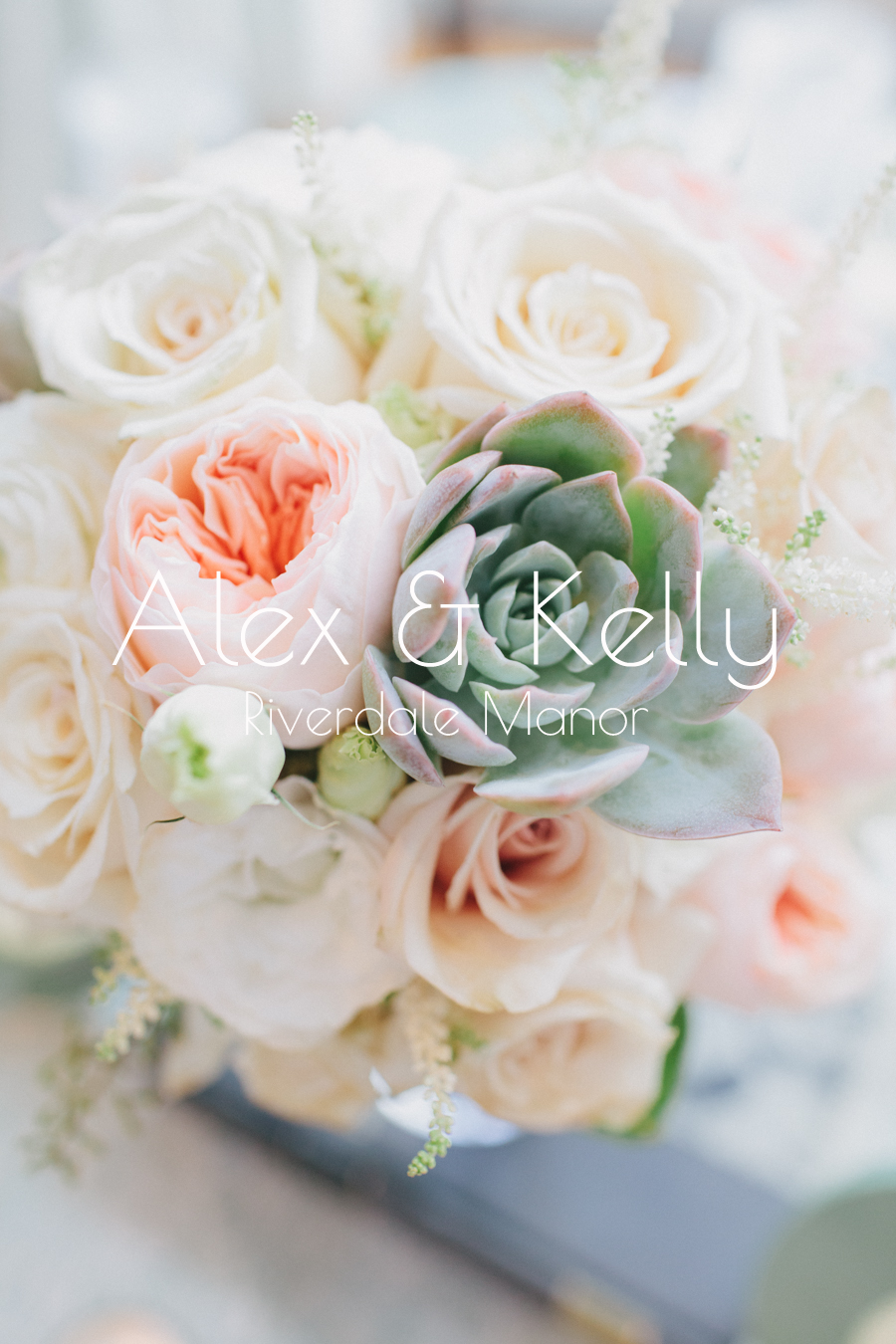 AlexKelly-41a.png