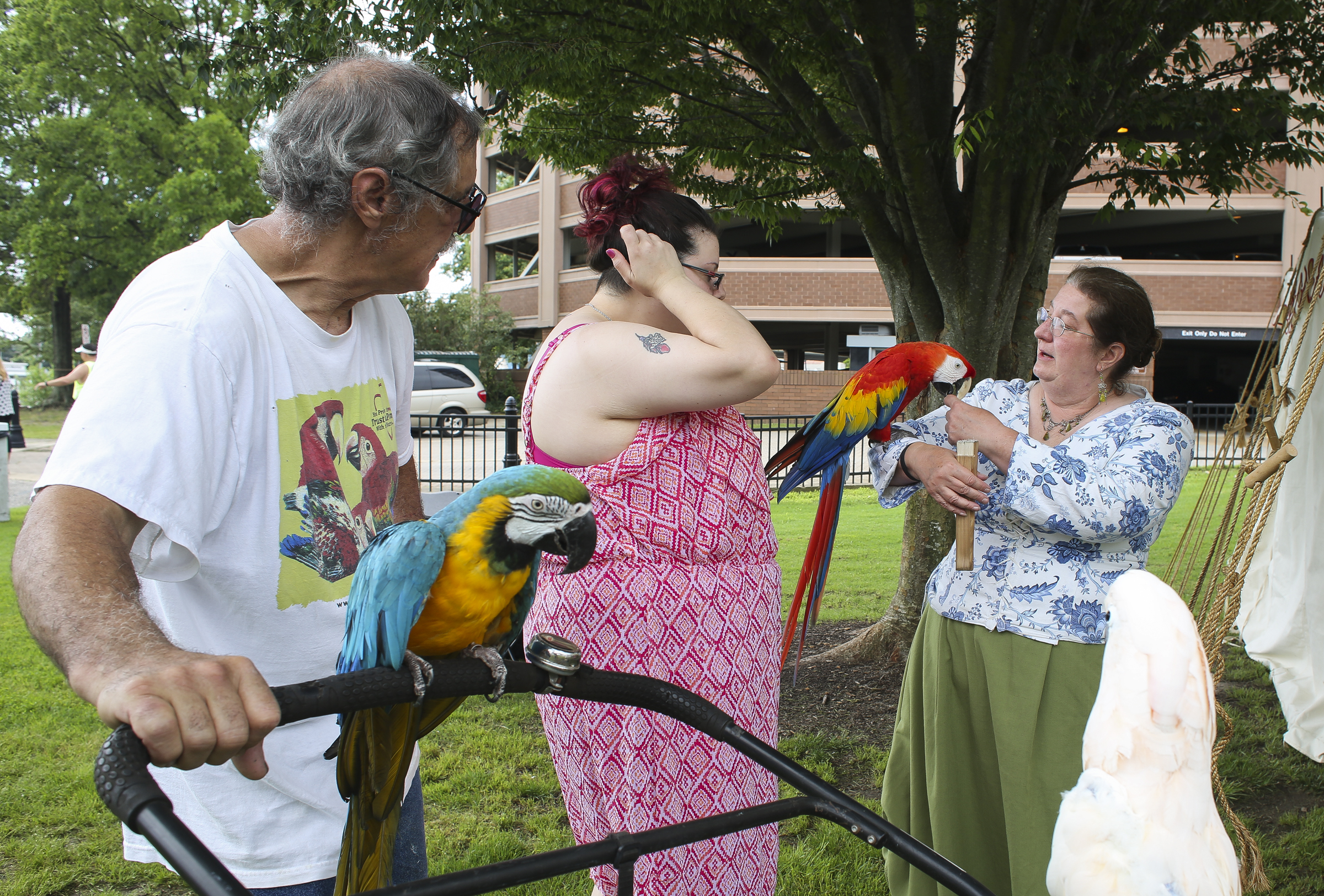 From left, Hampton residents Gene Sutter, Julie Sutter lets owner Laura Arnette of Cover dem Bones pets the Sutter's parrots Tattoo, Skittles and Maxwell at the Blackbeard Pirate Festival, Hampton, Saturday, June 4, 2016. (Sonya Paclob / Special to the Daily Press)