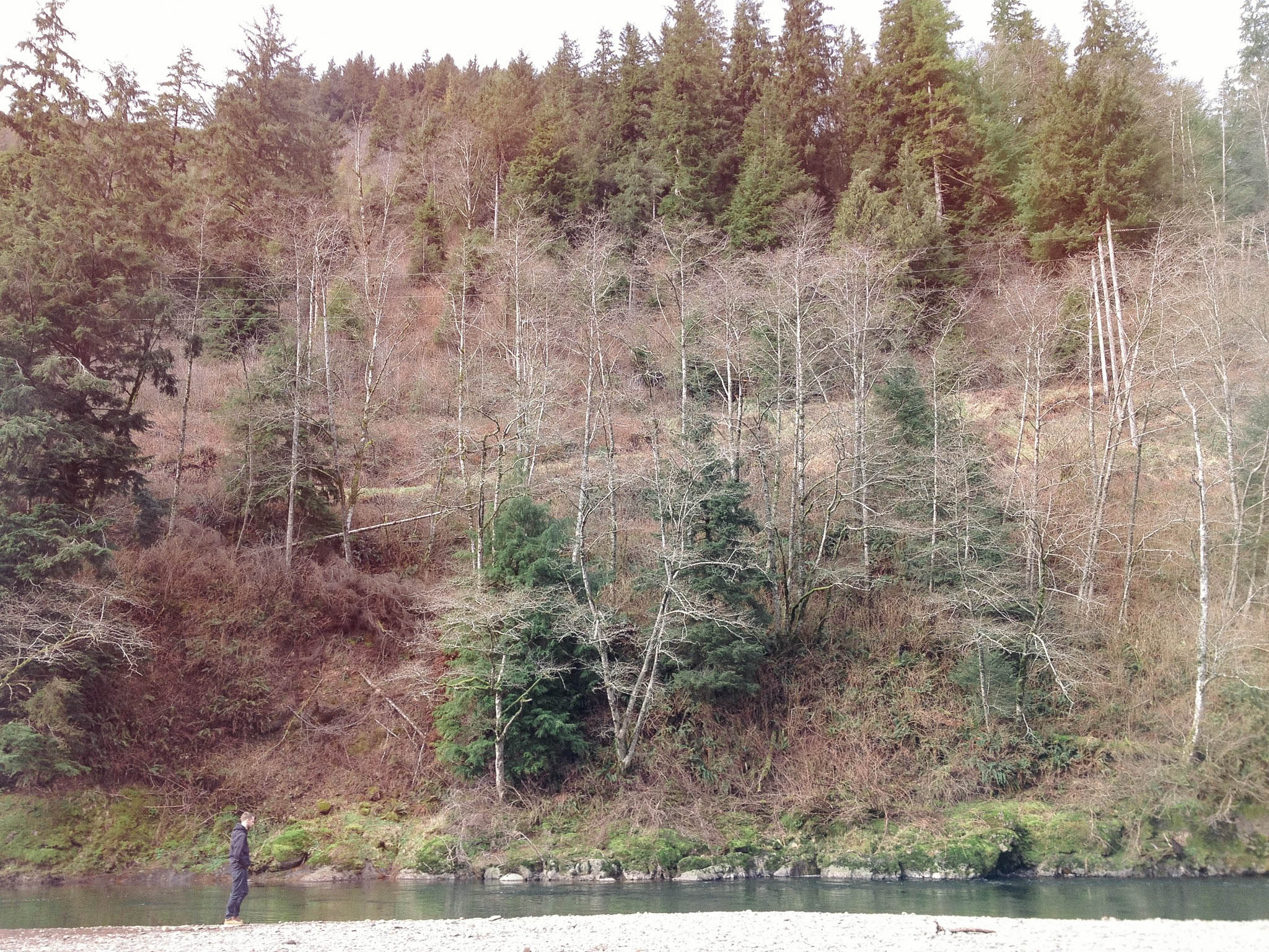 oregon-36.jpg