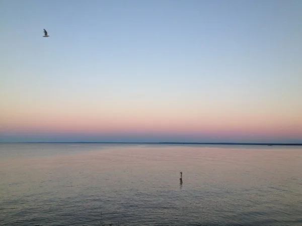 Transient