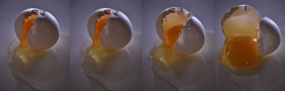 slider3.jpg