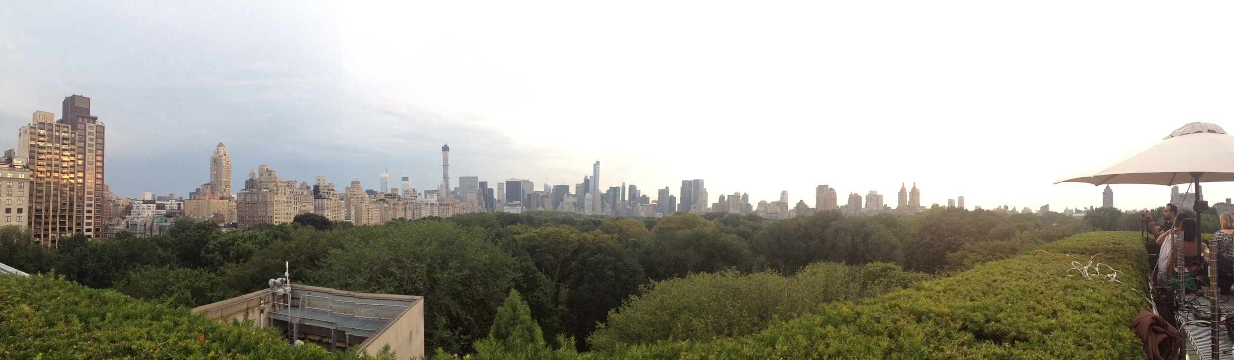 Panorama view from the top of the Metropolitan Museum of Art