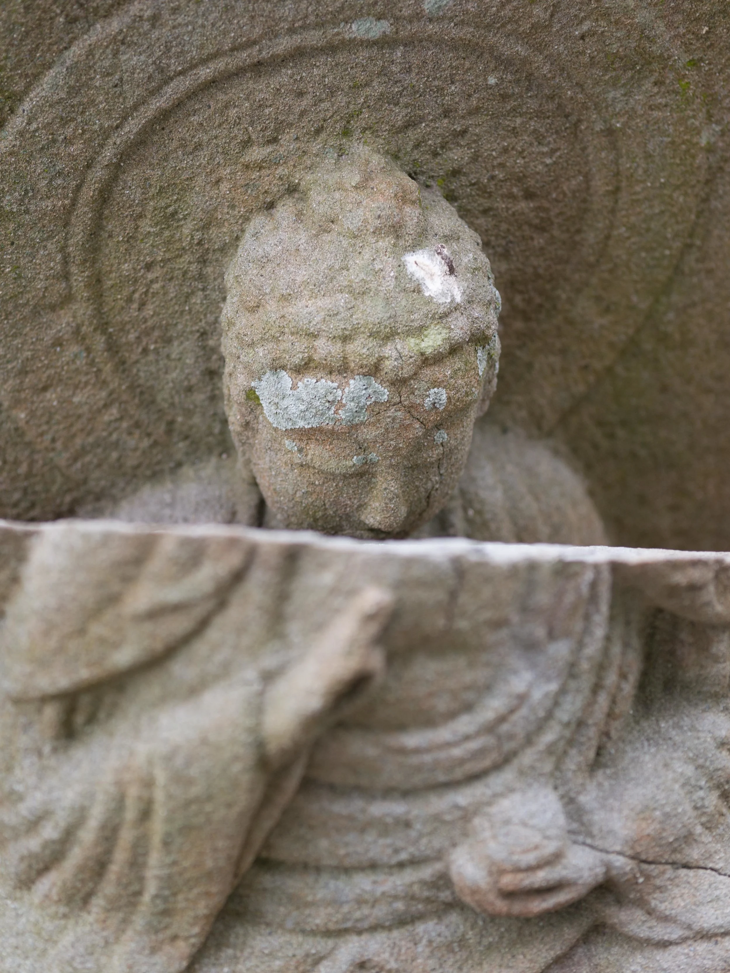 DSC02347_cc.jpg