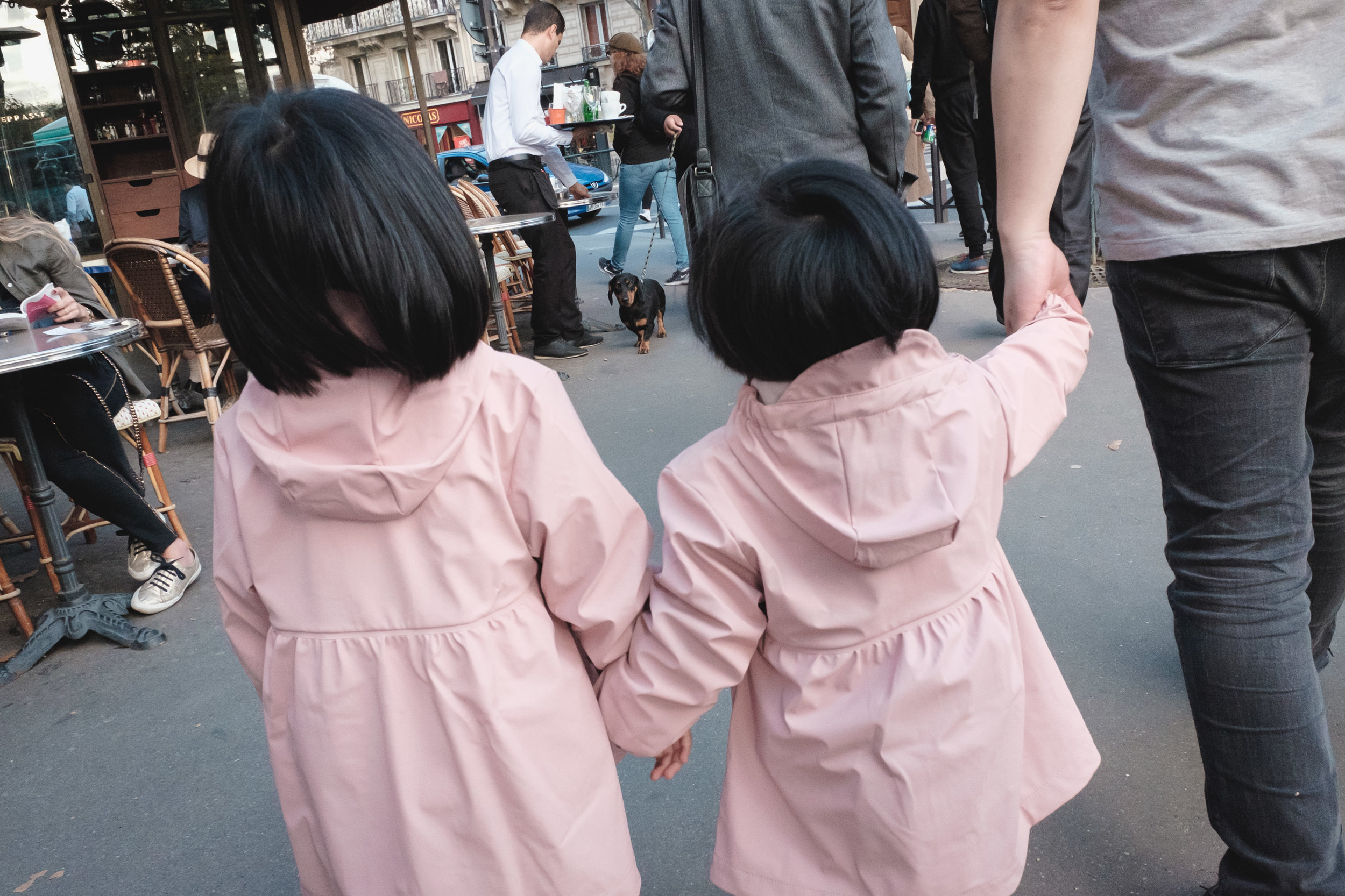 DSCF3910_cc.jpg
