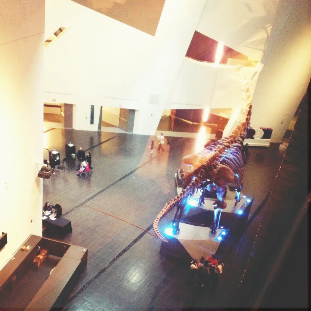 2013-03-23 16.20.48.jpg