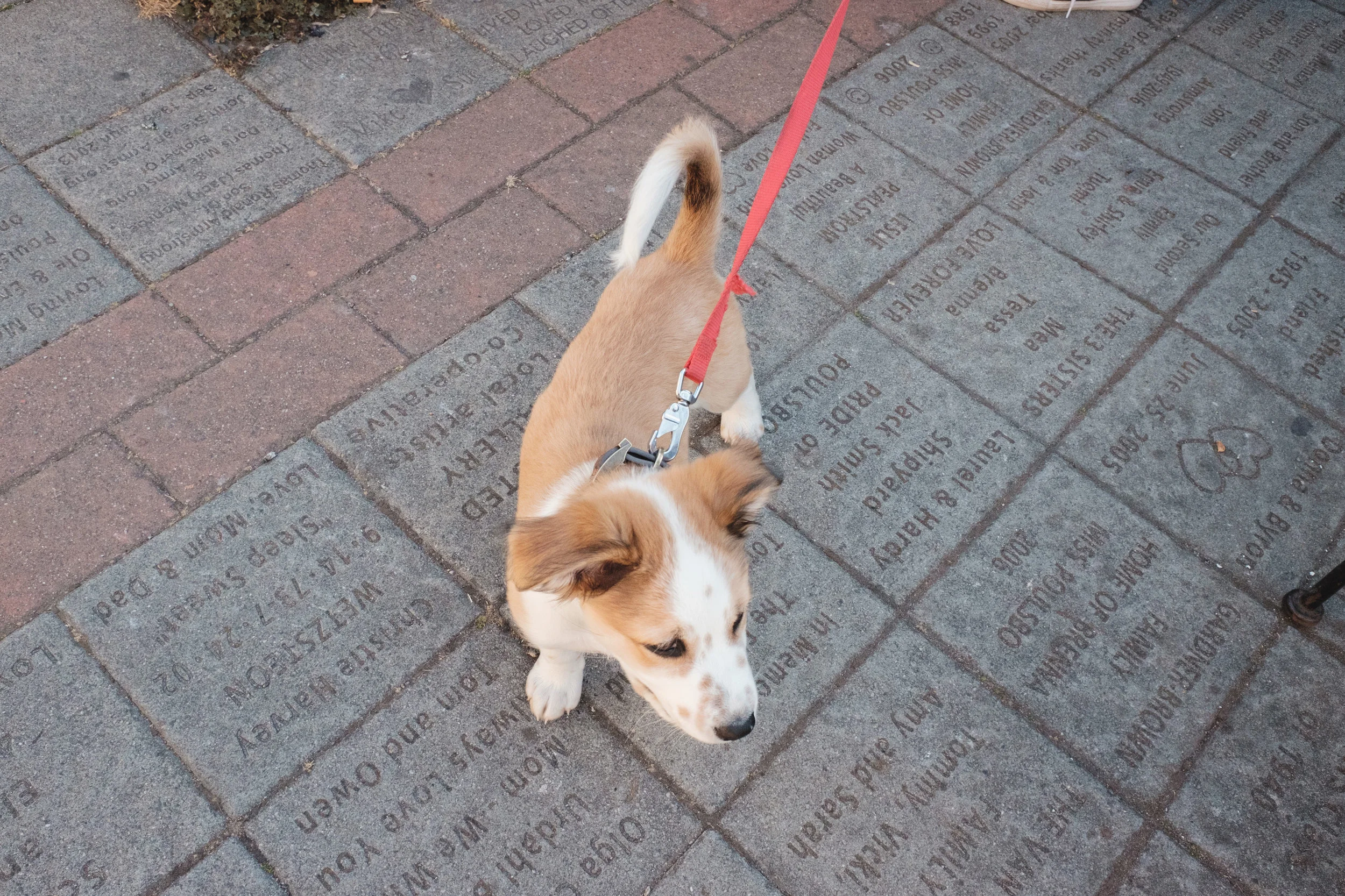DSCF9304_cc.jpg