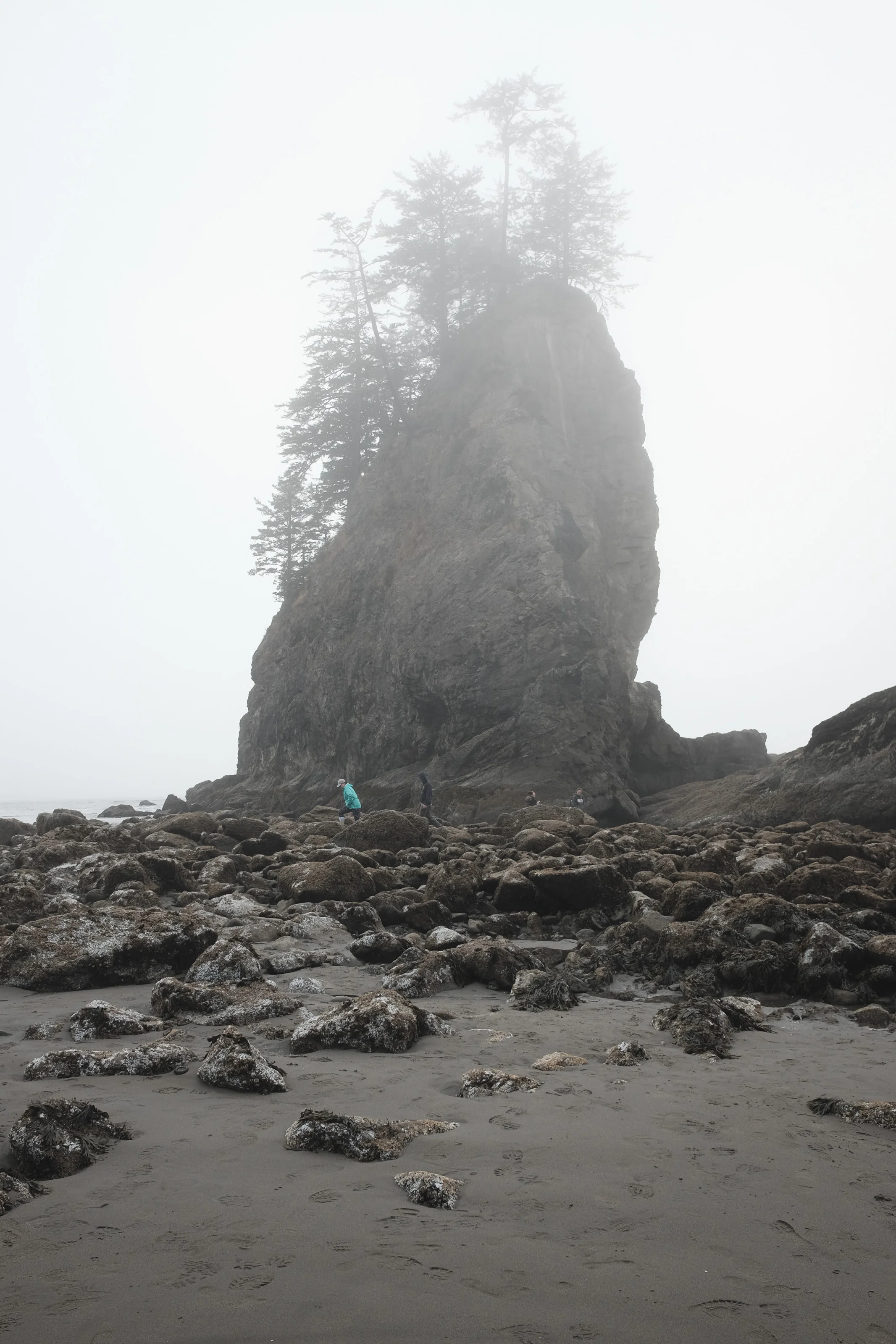 DSCF0015_cc.jpg