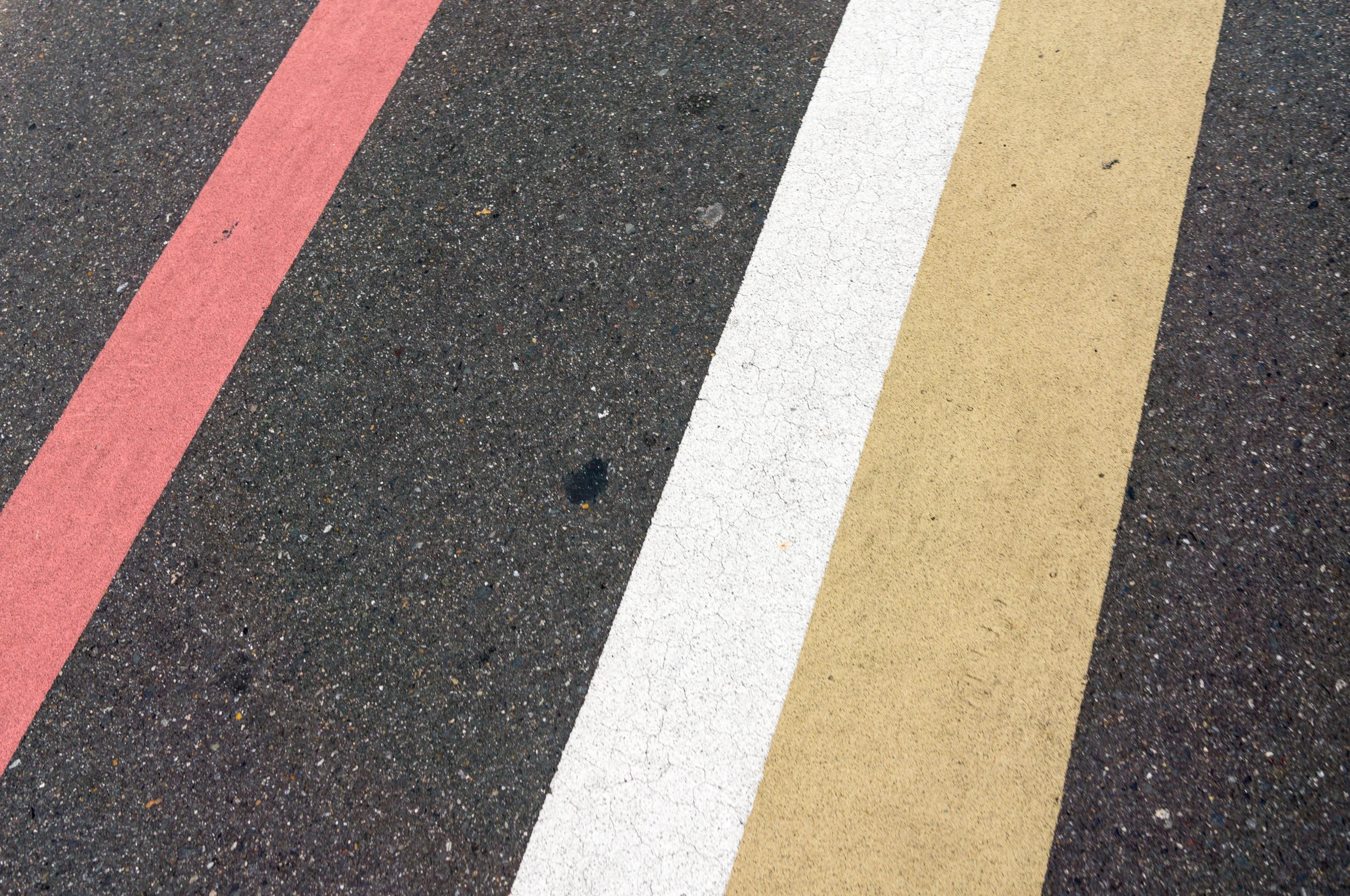 DSC00394_cc.jpg