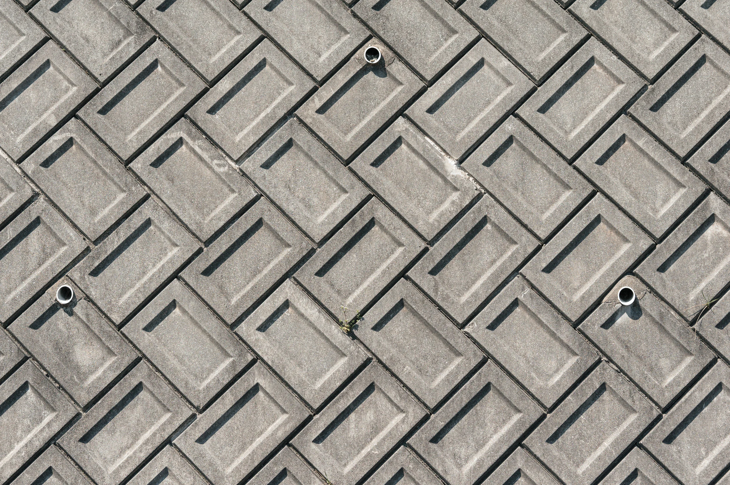 DSC01732_cc.jpg