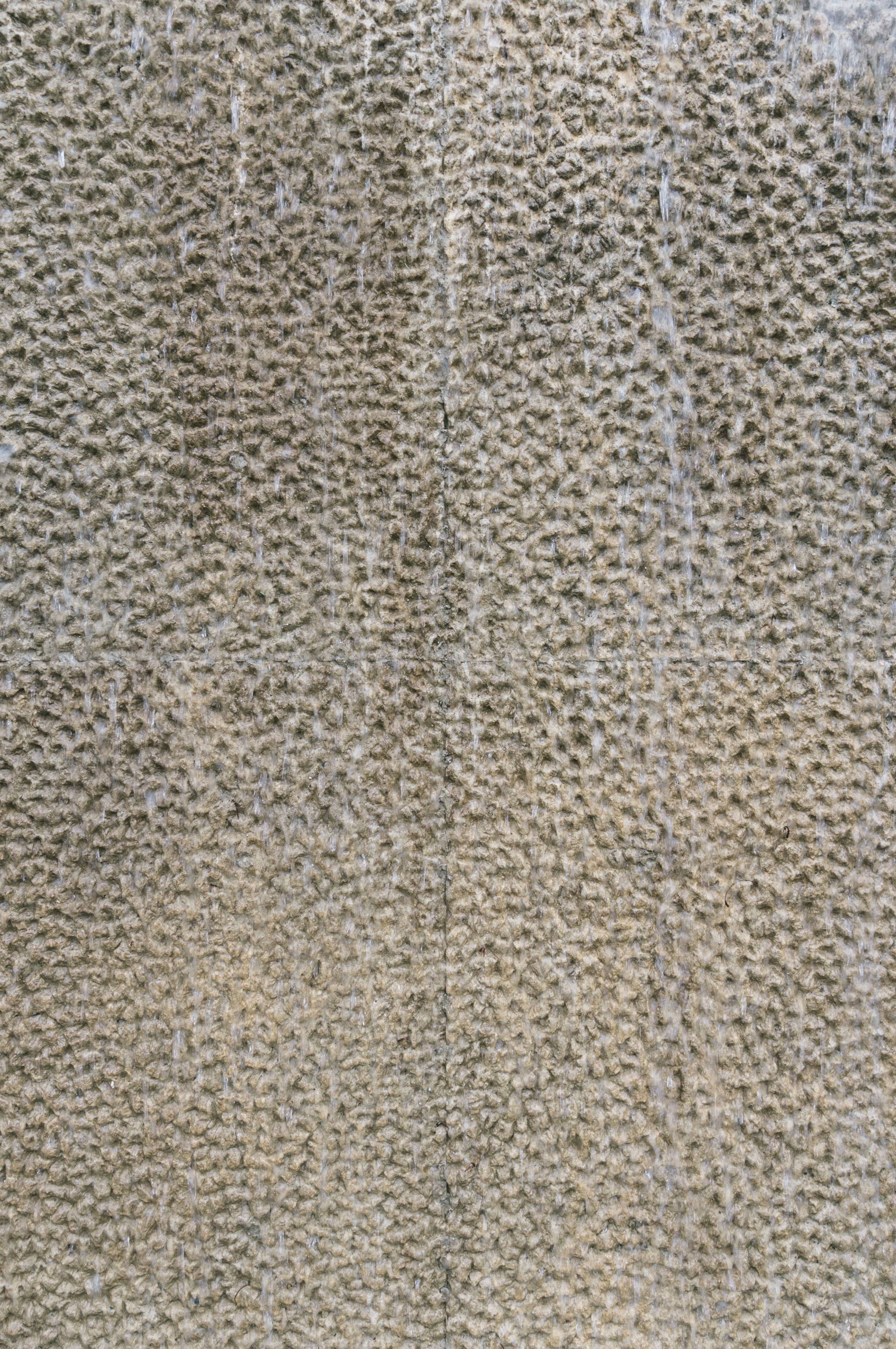 DSC02631_cc.jpg