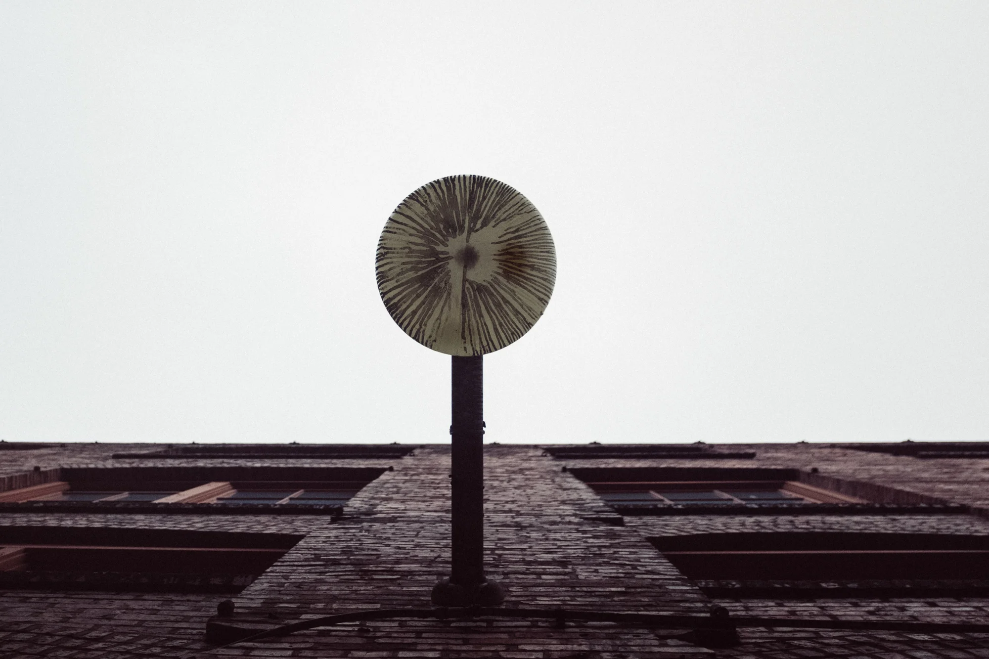 DSCF8050-2.jpg