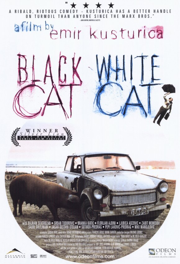 black-cat-white-cat-movie-poster-1998-1020203431.jpg