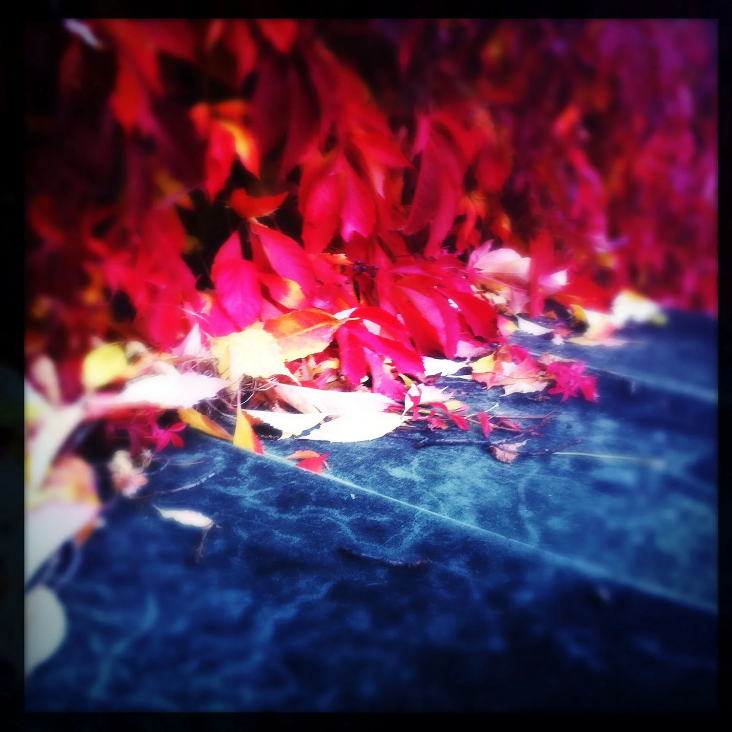 iPhoneography by Kate England. 
