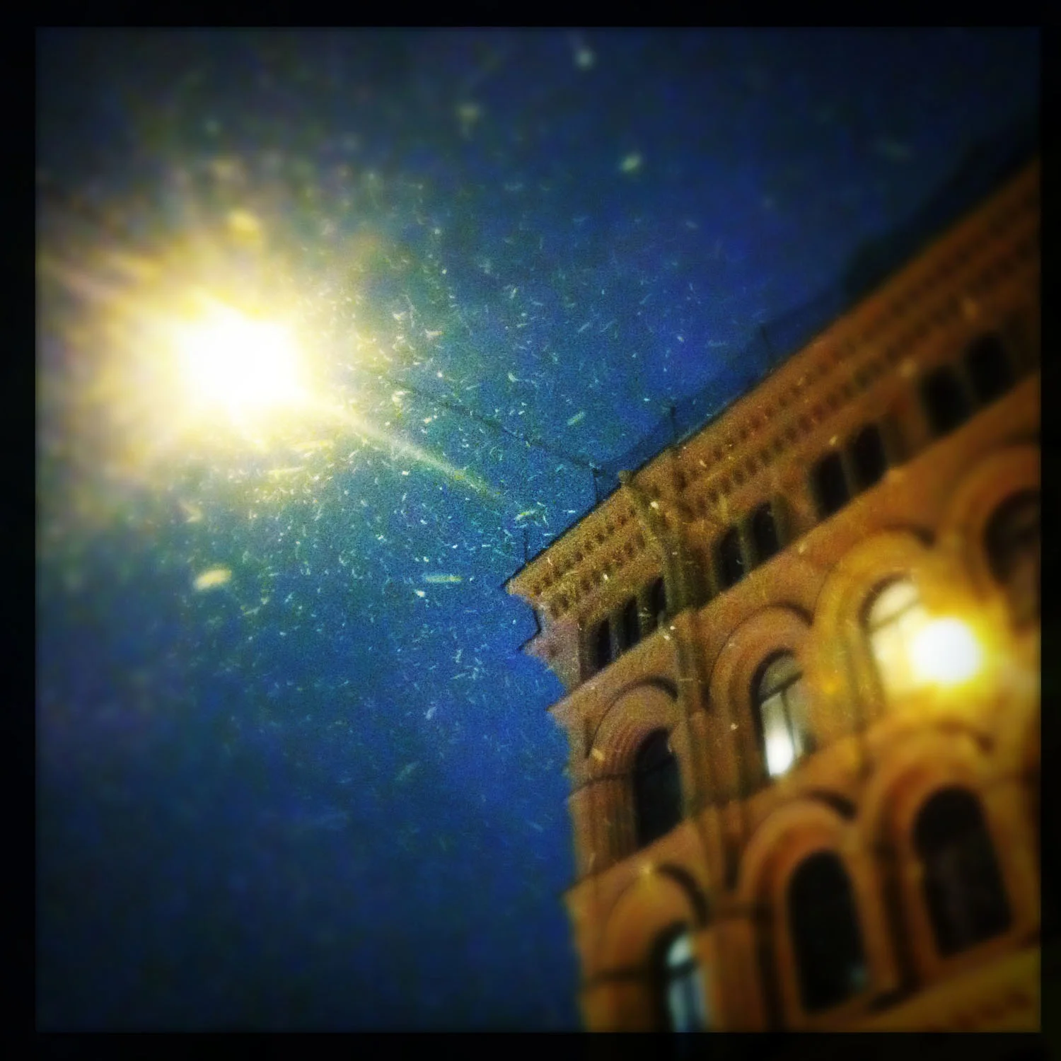 snow-and-light.jpg