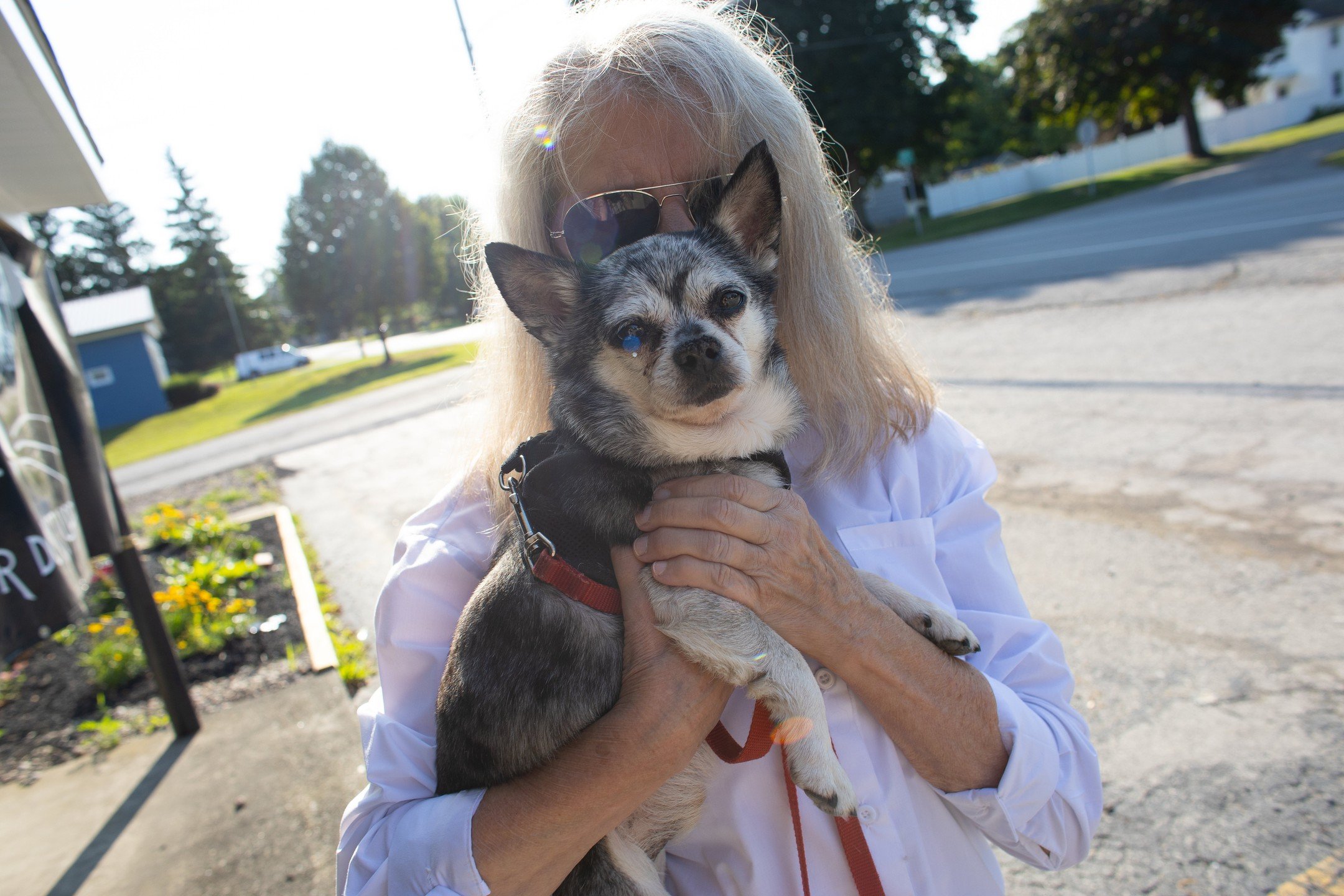 Polla Milligan, White Whiskers Senior Dog Sanctuary!