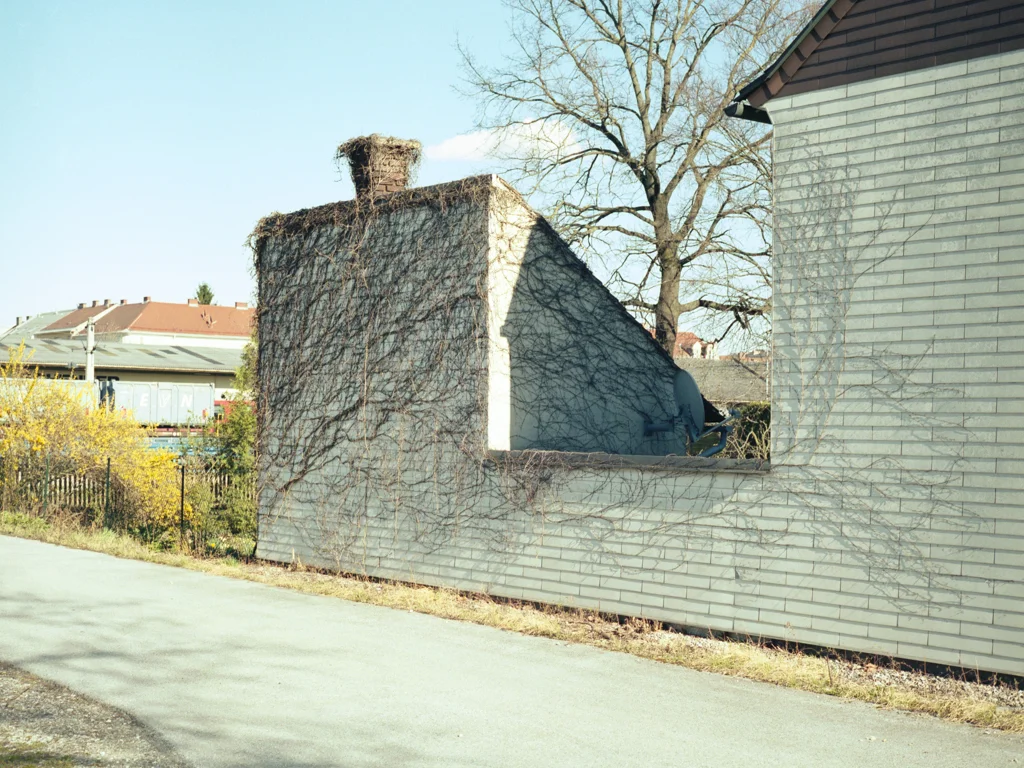    2015 / Analog / Mamiya 645AF   