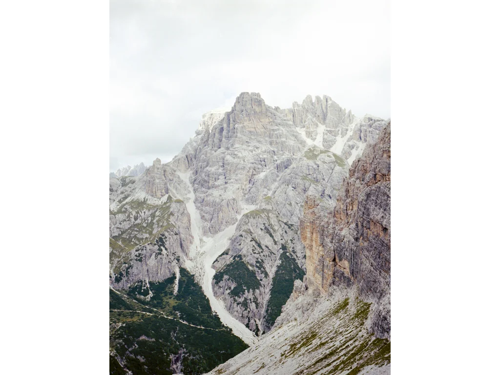  2015 / Analog  