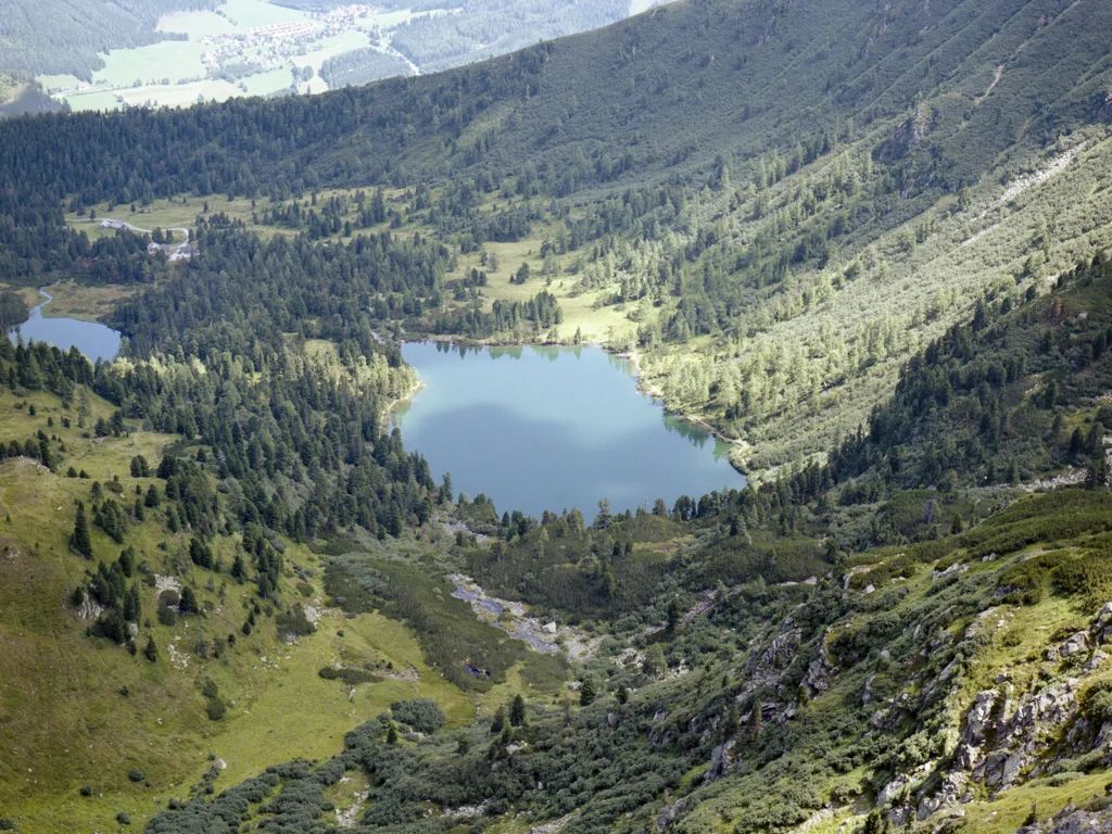  2017 / Analog // Austria 