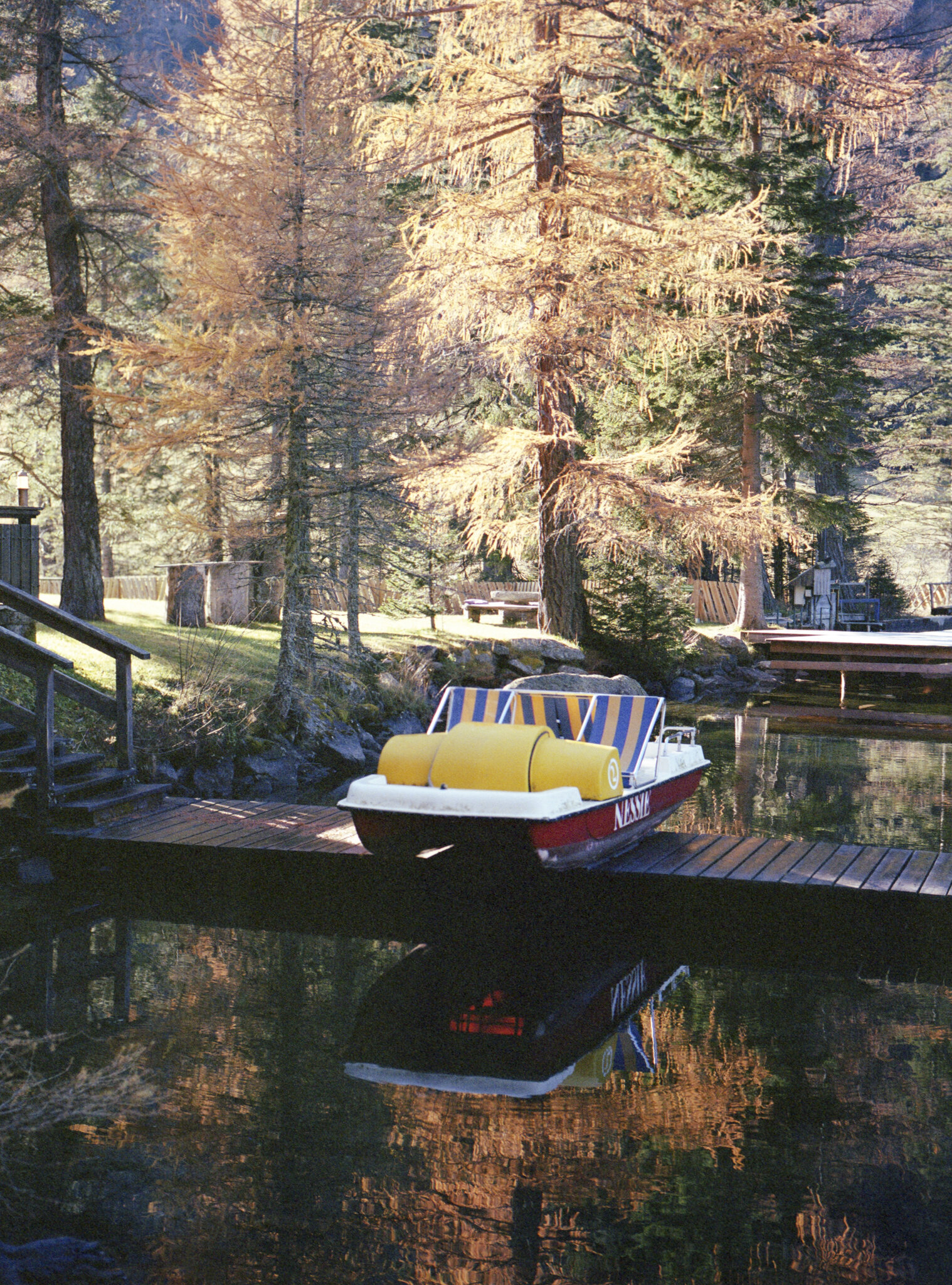 2020 / Analog // Styria 