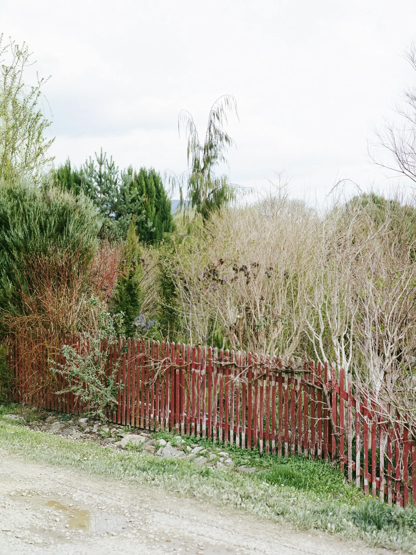  2024 / Analog // Lower Austria 