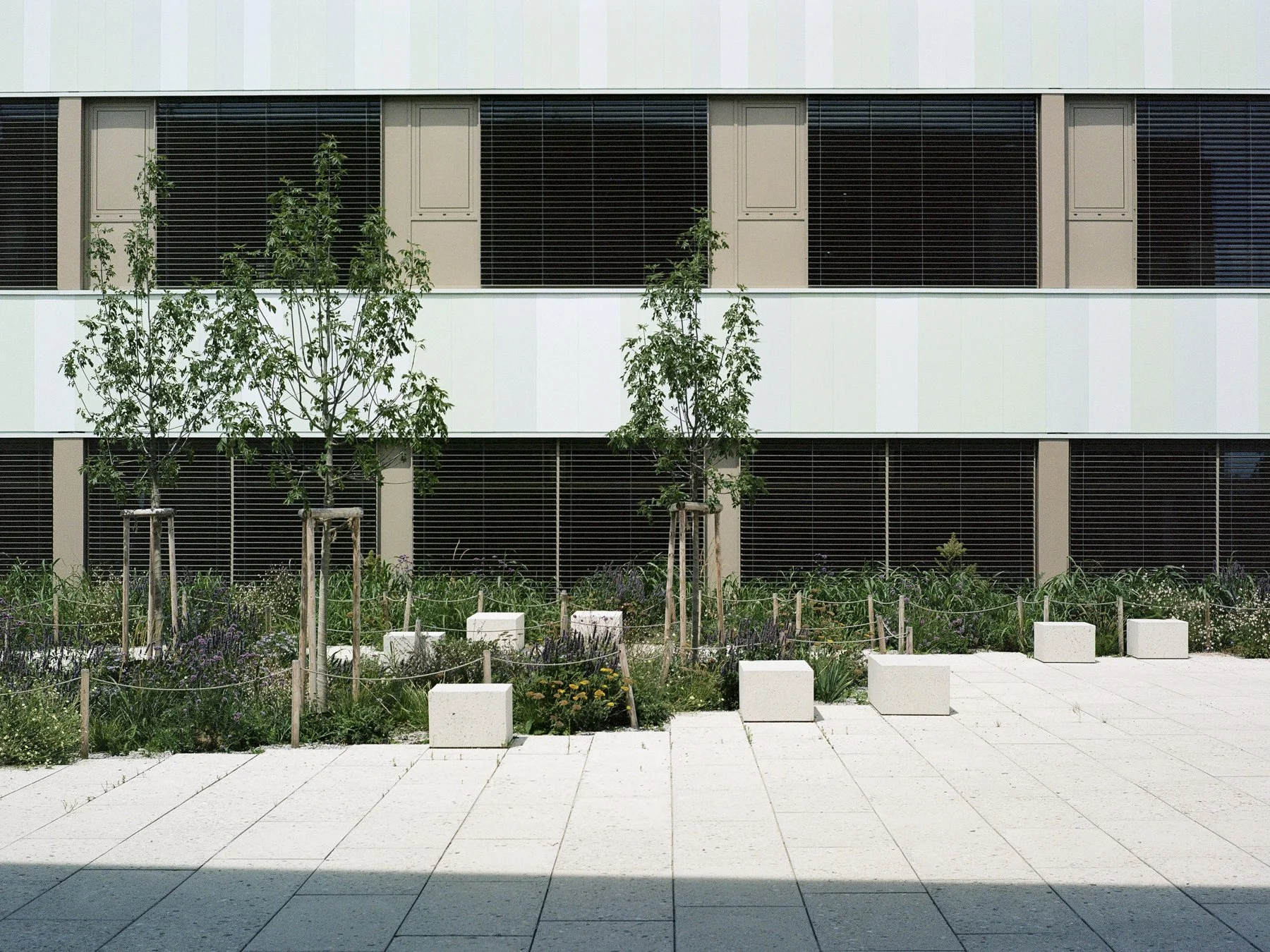  2025 / Analog // Austria 