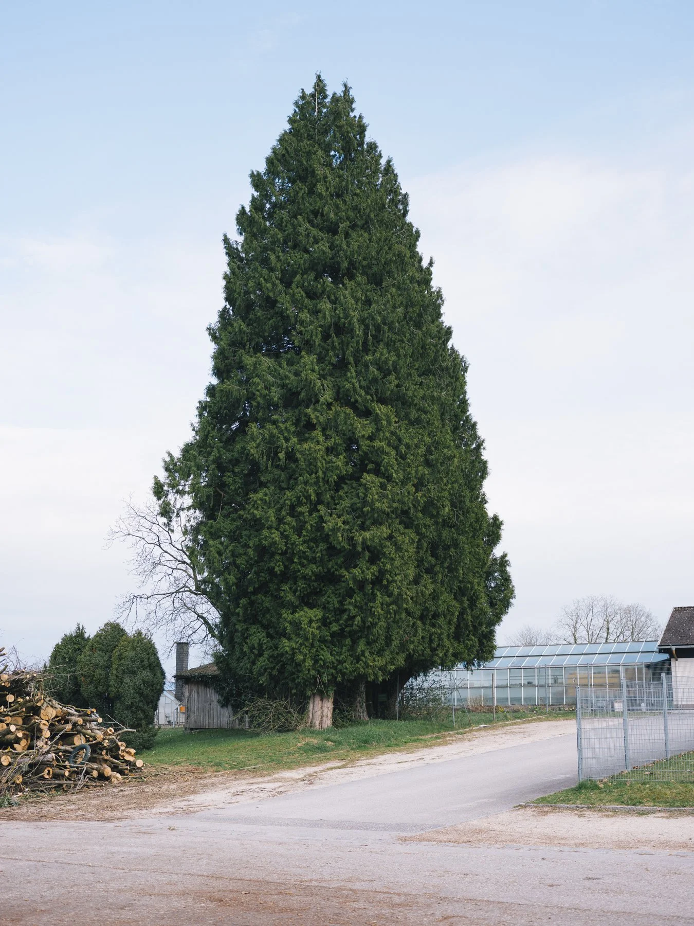  2026 / Digital // Austria 