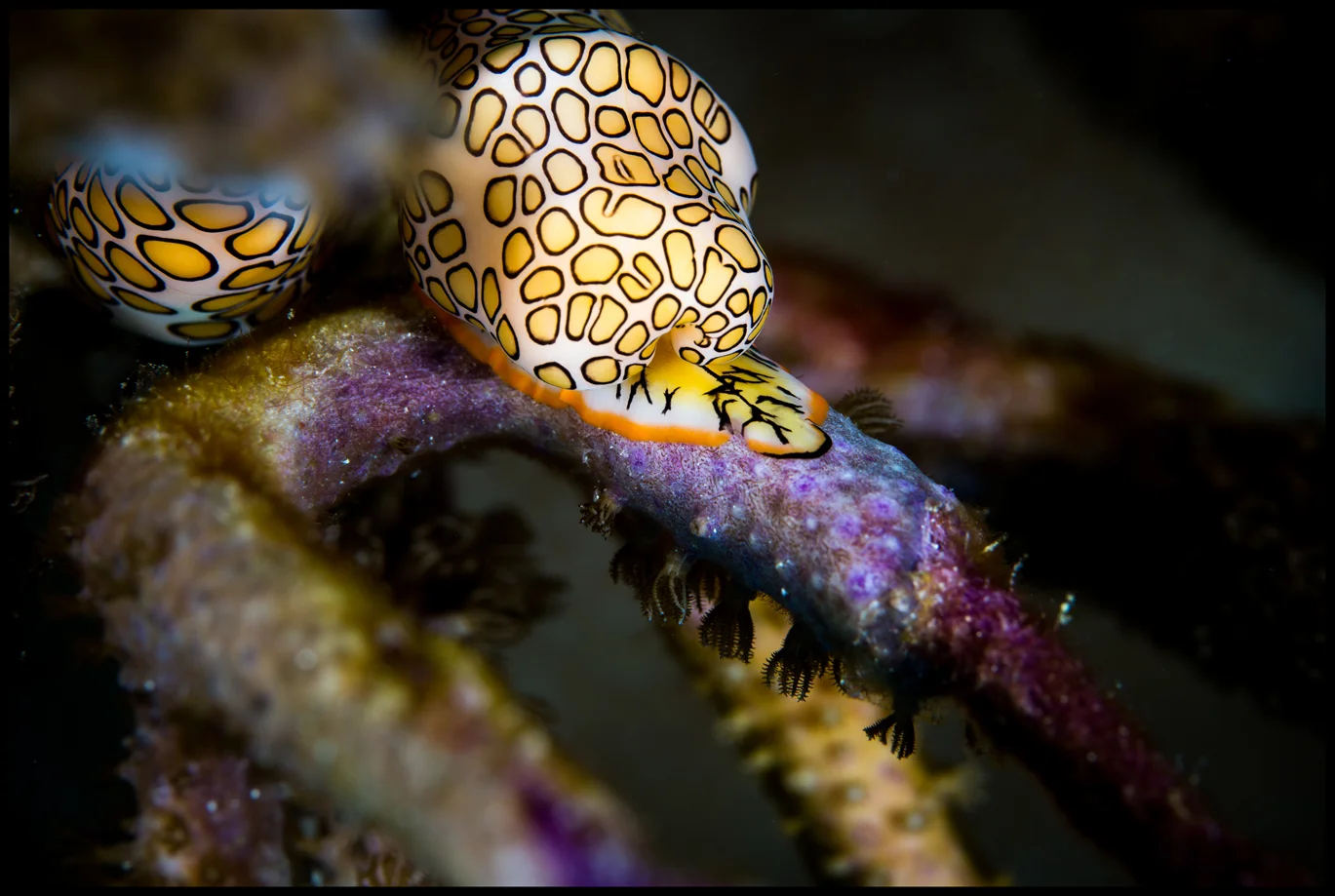 Cayman_Day6_1_WEB copy.jpg