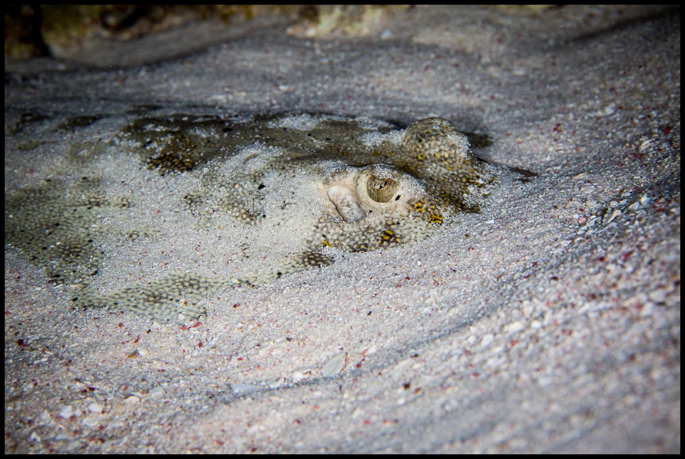 Cayman_Day3_3_WEB copy.jpg