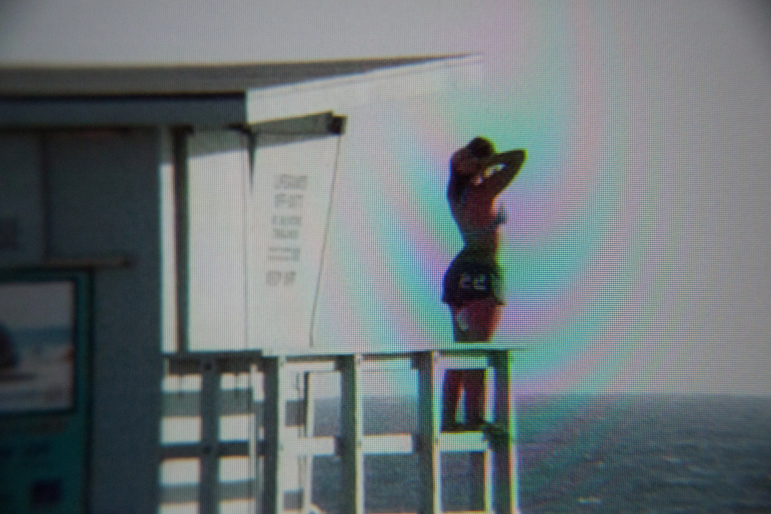 Pixels_Lifeguard study_12x8x300.jpg