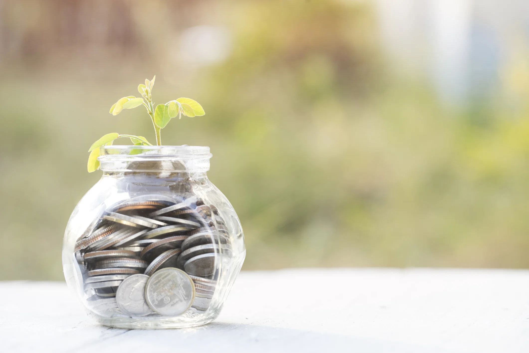 Grant Opportunities