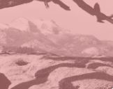 Show Closing: Natural Abstraction: Brett Weston and His Contemporaries