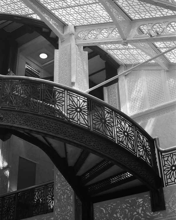 Rookery