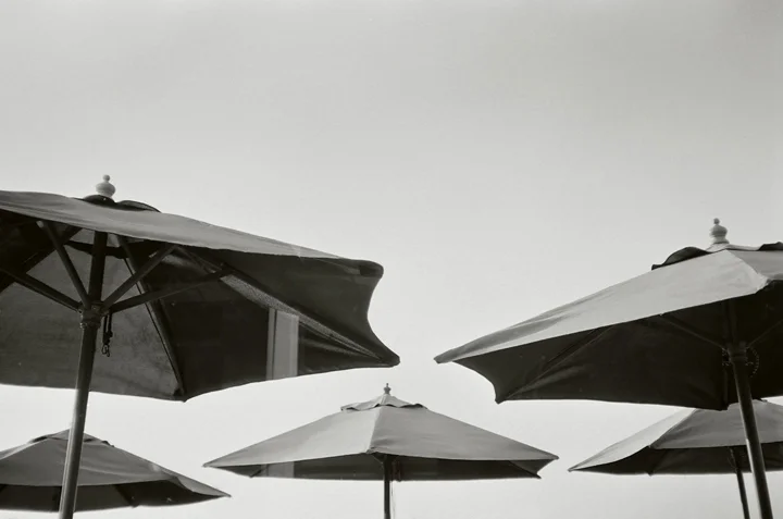 umbrellas_WEB.jpg