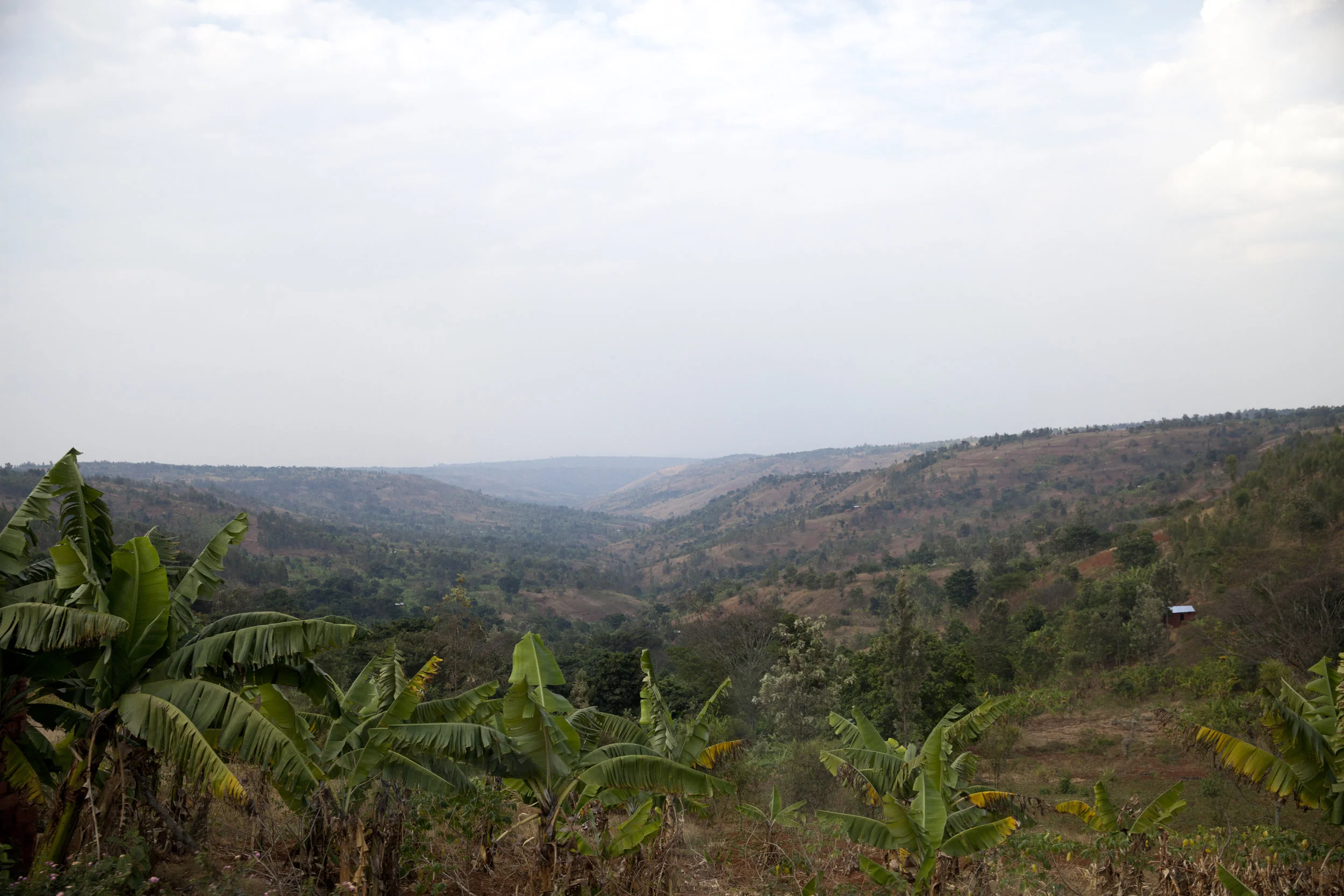Muyinga_Province_005.jpg