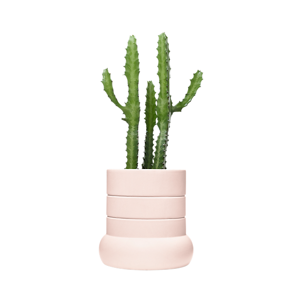 Tall Plant Pot