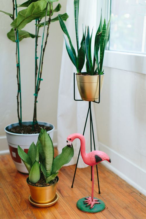 interior plants & flamingo