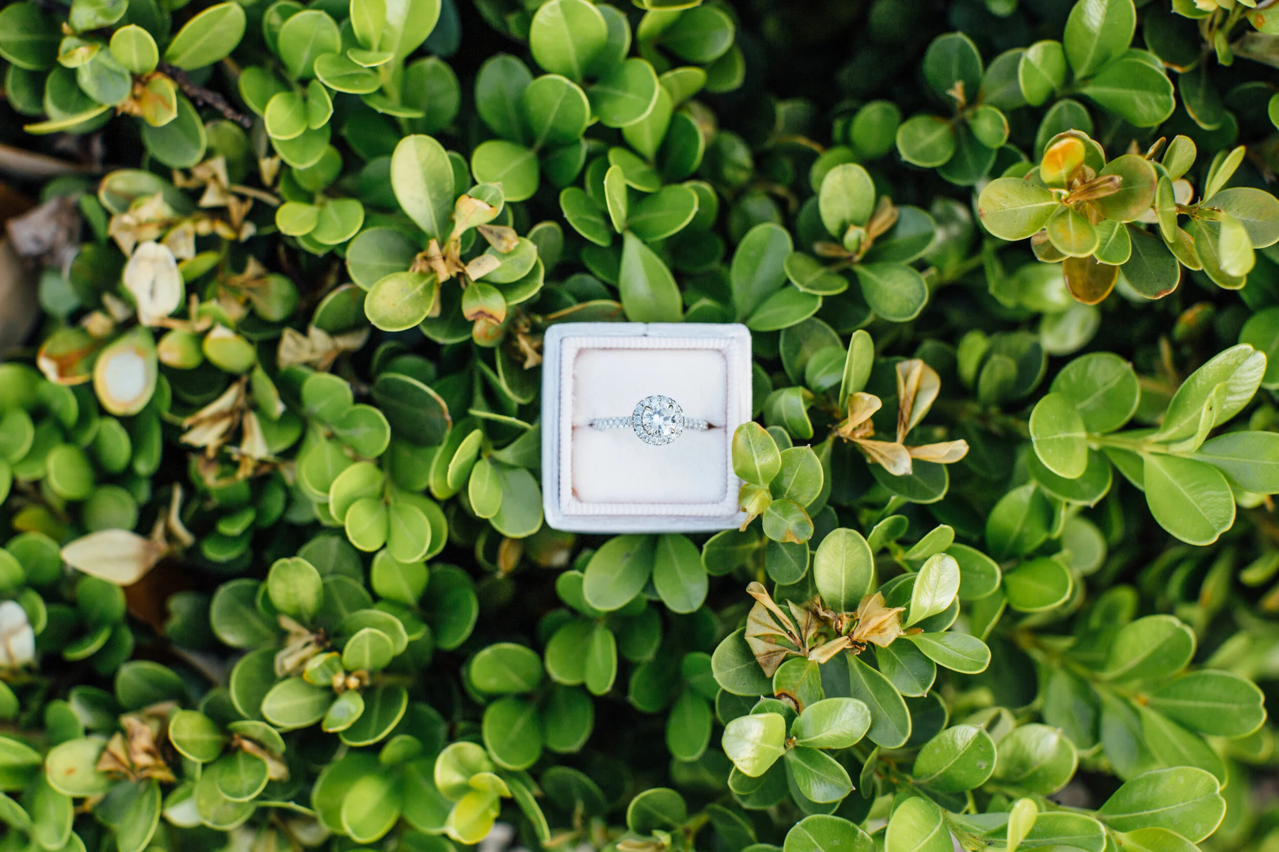 Site Update-1-41.jpg