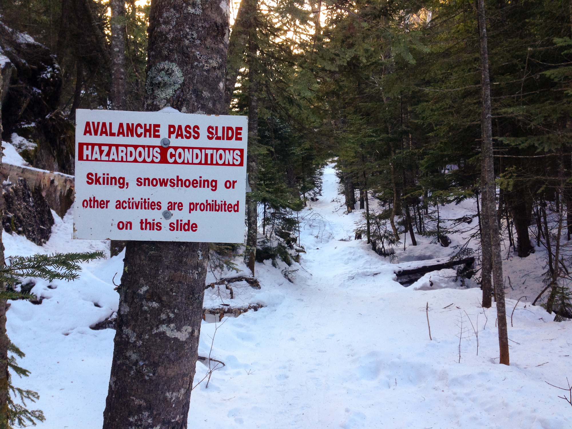 Avalanche Pass Hazard Sign