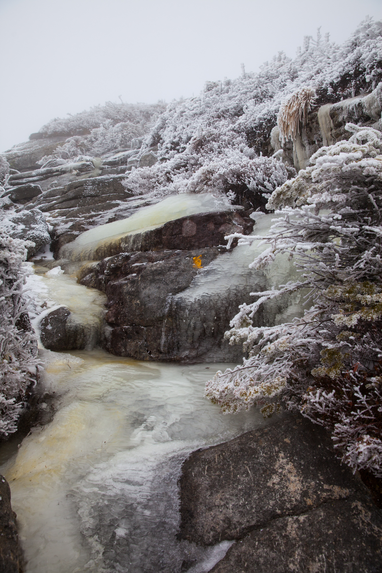 Mount Colden Ascent