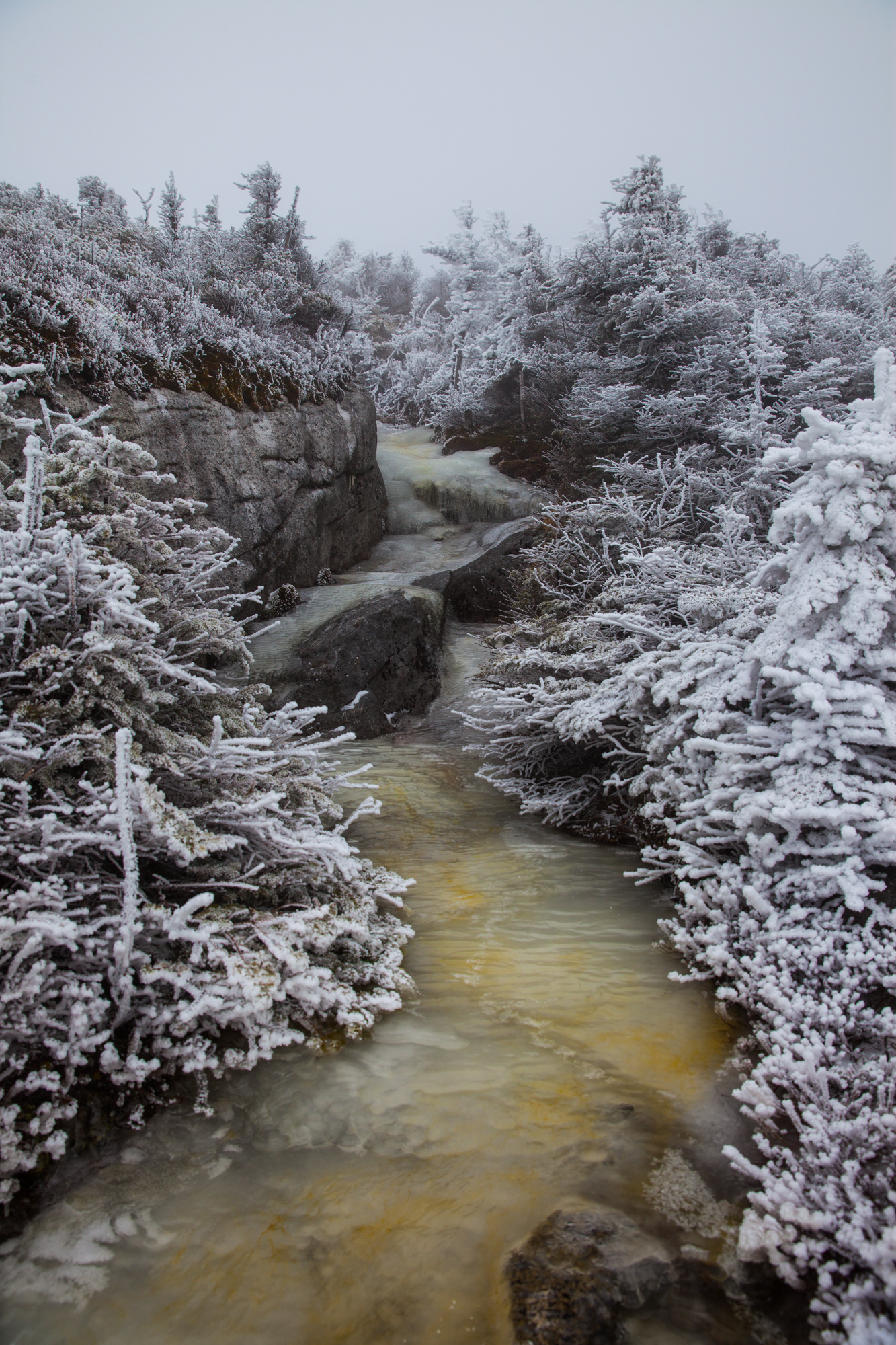 Mount Colden Ascent