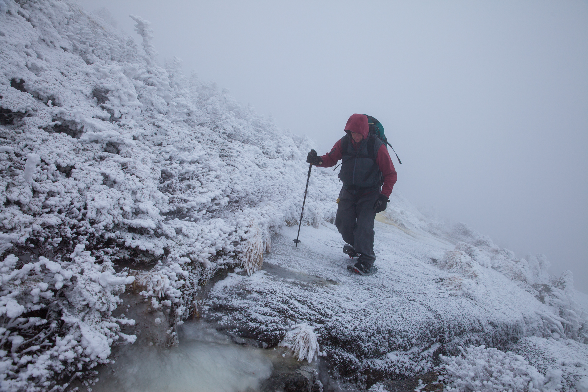 Aaron on Mount Colden