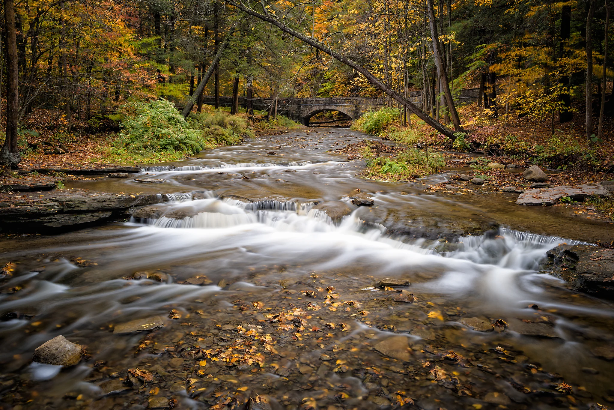 20161022-_KRS5561_FINAL_WEB.jpg
