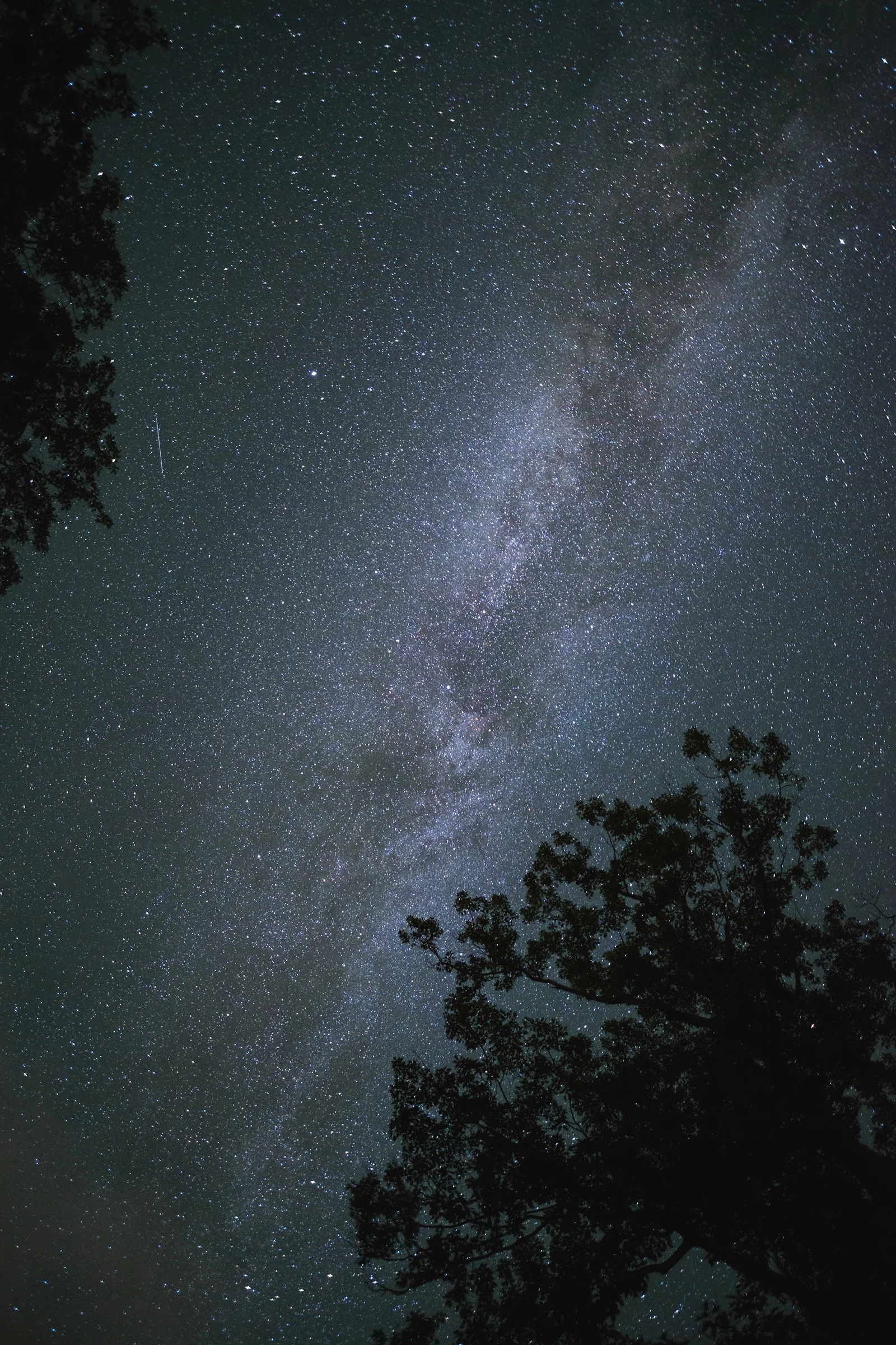 20150809-_KRS8224_FINAL_WEB.jpg