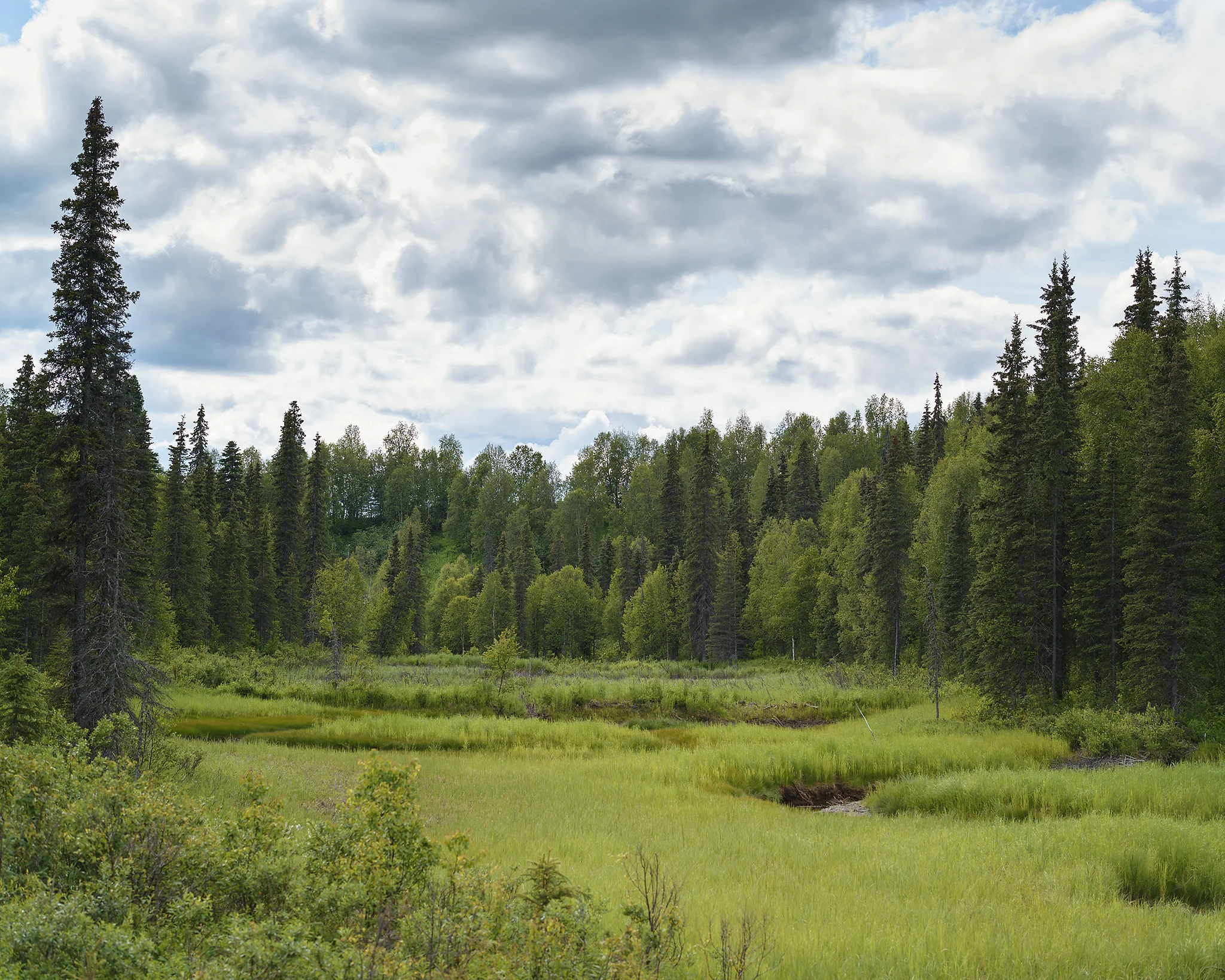 20140702-_KRS7732_FINAL_WEB.jpg